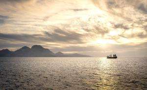 Sursa foto: Pixabay